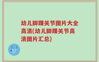 幼儿脚踝关节图片大全高清(幼儿脚踝关节高清图片汇总)