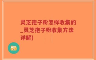 灵芝孢子粉怎样收集的_灵芝孢子粉收集方法详解)