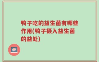 鸭子吃的益生菌有哪些作用(鸭子摄入益生菌的益处)