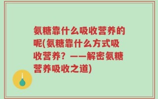 氨糖靠什么吸收营养的呢(氨糖靠什么方式吸收营养？——解密氨糖营养吸收之道)