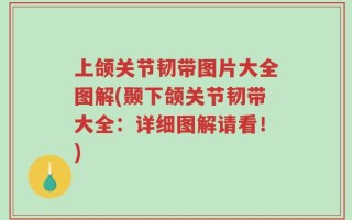 上颌关节韧带图片大全图解(颞下颌关节韧带大全：详细图解请看！)