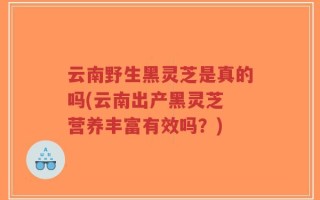 云南野生黑灵芝是真的吗(云南出产黑灵芝 营养丰富有效吗？)