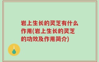 岩上生长的灵芝有什么作用(岩上生长的灵芝的功效及作用简介)
