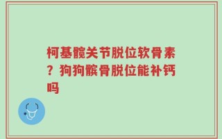 柯基髋关节脱位软骨素？狗狗髌骨脱位能补钙吗