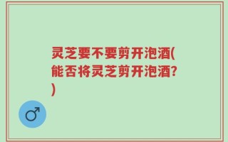 灵芝要不要剪开泡酒(能否将灵芝剪开泡酒？)