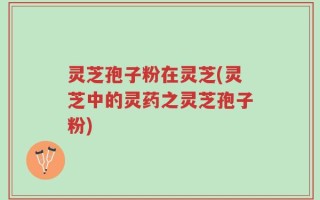 灵芝孢子粉在灵芝(灵芝中的灵药之灵芝孢子粉)