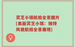 灵芝小镇航拍全景图片(美丽灵芝小镇：独特风貌航拍全景展现)