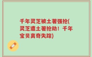千年灵芝被土著强抢(灵芝遭土著抢劫！千年宝贝离奇失踪)