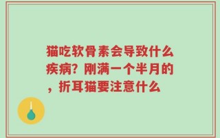 猫吃软骨素会导致什么疾病？刚满一个半月的，折耳猫要注意什么