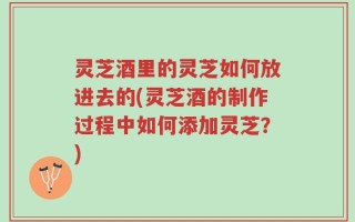 灵芝酒里的灵芝如何放进去的(灵芝酒的制作过程中如何添加灵芝？)