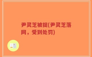 尹灵芝被捉(尹灵芝落网，受到处罚)