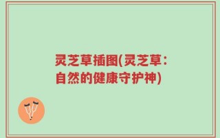 灵芝草插图(灵芝草：自然的健康守护神)