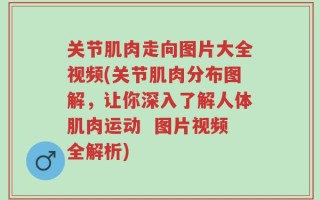 关节肌肉走向图片大全视频(关节肌肉分布图解，让你深入了解人体肌肉运动  图片视频全解析)