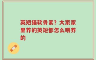 英短猫软骨素？大家家里养的英短都怎么喂养的