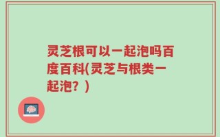 灵芝根可以一起泡吗百度百科(灵芝与根类一起泡？)