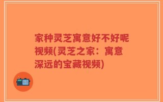 家种灵芝寓意好不好呢视频(灵芝之家：寓意深远的宝藏视频)