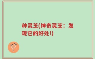 种灵芝(神奇灵芝：发现它的好处!)