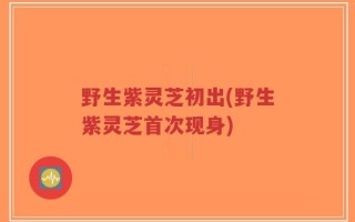 野生紫灵芝初出(野生紫灵芝首次现身)