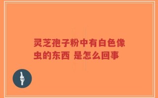 灵芝孢子粉中有白色像虫的东西 是怎么回事