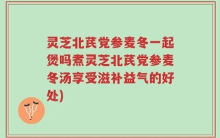 灵芝北芪党参麦冬一起煲吗煮灵芝北芪党参麦冬汤享受滋补益气的好处)