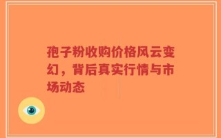 孢子粉收购价格风云变幻，背后真实行情与市场动态