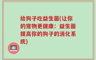 给狗子吃益生菌(让你的宠物更健康：益生菌提高你的狗子的消化系统)