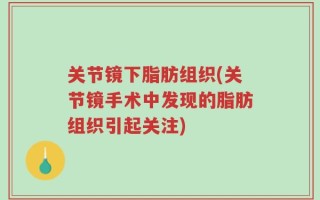 关节镜下脂肪组织(关节镜手术中发现的脂肪组织引起关注)