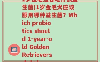 1岁金毛适合吃什么益生菌(1岁金毛犬应该服用哪种益生菌？Which probiotics should 1-year-old Golden Retrievers take)