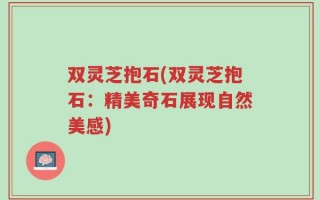 双灵芝抱石(双灵芝抱石：精美奇石展现自然美感)
