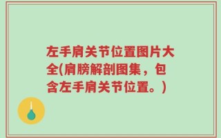 左手肩关节位置图片大全(肩膀解剖图集，包含左手肩关节位置。)
