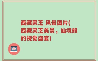 西藏灵芝 风景图片(西藏灵芝美景，仙境般的视觉盛宴)