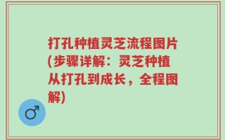 打孔种植灵芝流程图片(步骤详解：灵芝种植从打孔到成长，全程图解)