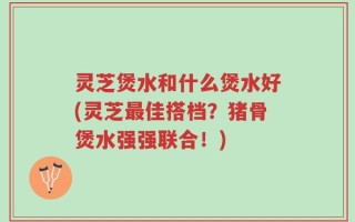 灵芝煲水和什么煲水好(灵芝最佳搭档？猪骨煲水强强联合！)