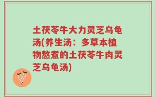 土茯苓牛大力灵芝乌龟汤(养生汤：多草本植物熬煮的土茯苓牛肉灵芝乌龟汤)