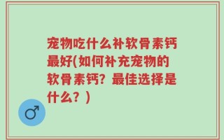 宠物吃什么补软骨素钙最好(如何补充宠物的软骨素钙？最佳选择是什么？)
