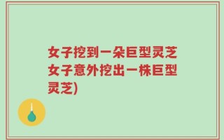 女子挖到一朵巨型灵芝女子意外挖出一株巨型灵芝)