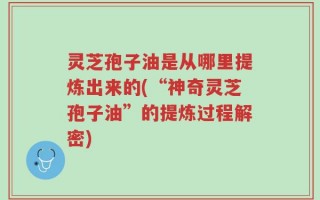 灵芝孢子油是从哪里提炼出来的(“神奇灵芝孢子油”的提炼过程解密)