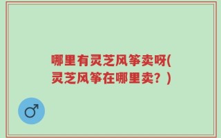 哪里有灵芝风筝卖呀(灵芝风筝在哪里卖？)