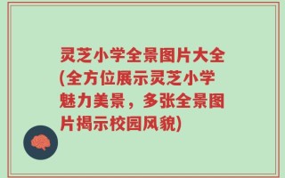灵芝小学全景图片大全(全方位展示灵芝小学魅力美景，多张全景图片揭示校园风貌)
