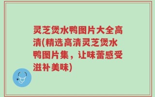 灵芝煲水鸭图片大全高清(精选高清灵芝煲水鸭图片集，让味蕾感受滋补美味)