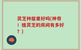 灵芝种屋里好吗(神奇！植灵芝的房间有多好？)
