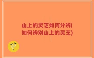 山上的灵芝如何分辨(如何辨别山上的灵芝)