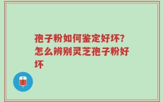 孢子粉如何鉴定好坏？怎么辨别灵芝孢子粉好坏