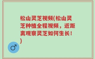 松山灵芝视频(松山灵芝种植全程视频，近距离观察灵芝如何生长！)