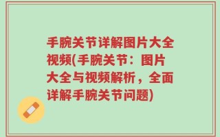 手腕关节详解图片大全视频(手腕关节：图片大全与视频解析，全面详解手腕关节问题)