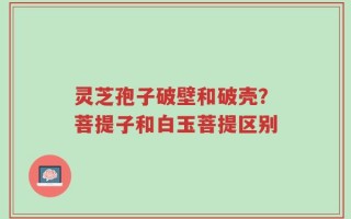 灵芝孢子破壁和破壳？菩提子和白玉菩提区别