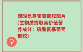 硫酸氨基葡萄糖胶图片(生物质提取高价值营养成分：硫酸氨基葡萄糖胶)