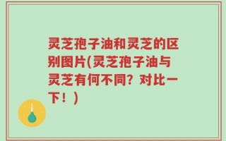 灵芝孢子油和灵芝的区别图片(灵芝孢子油与灵芝有何不同？对比一下！)