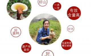 长白山灵芝孢子粉跟泰山灵芝孢子粉，哪个更好？