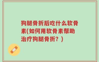 狗腿骨折后吃什么软骨素(如何用软骨素帮助治疗狗腿骨折？)